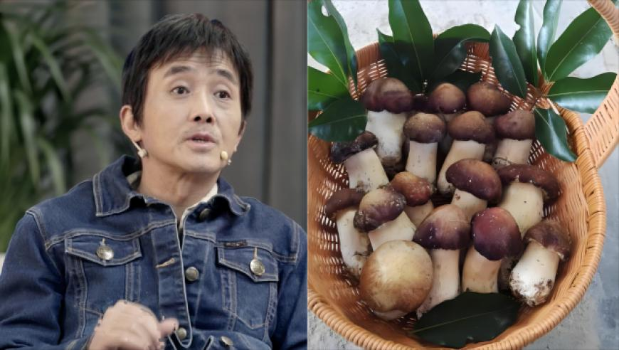 金冬天cue宁艺卓发言,香港最快最准的免费资料,展开计划实施_轻量版V4.3